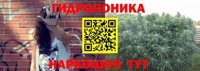 mix Будённовск